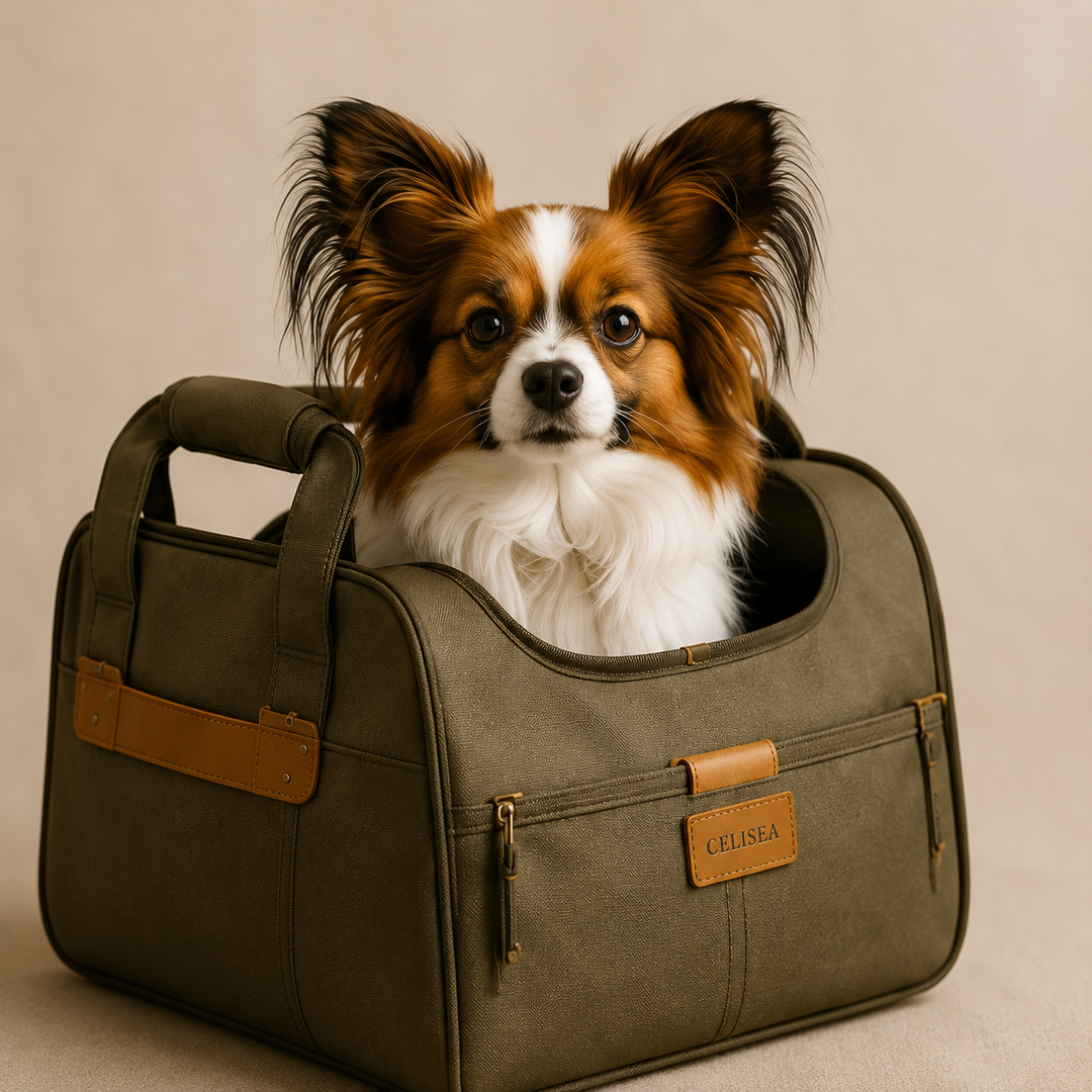 Hundetaschen & Reisebetten