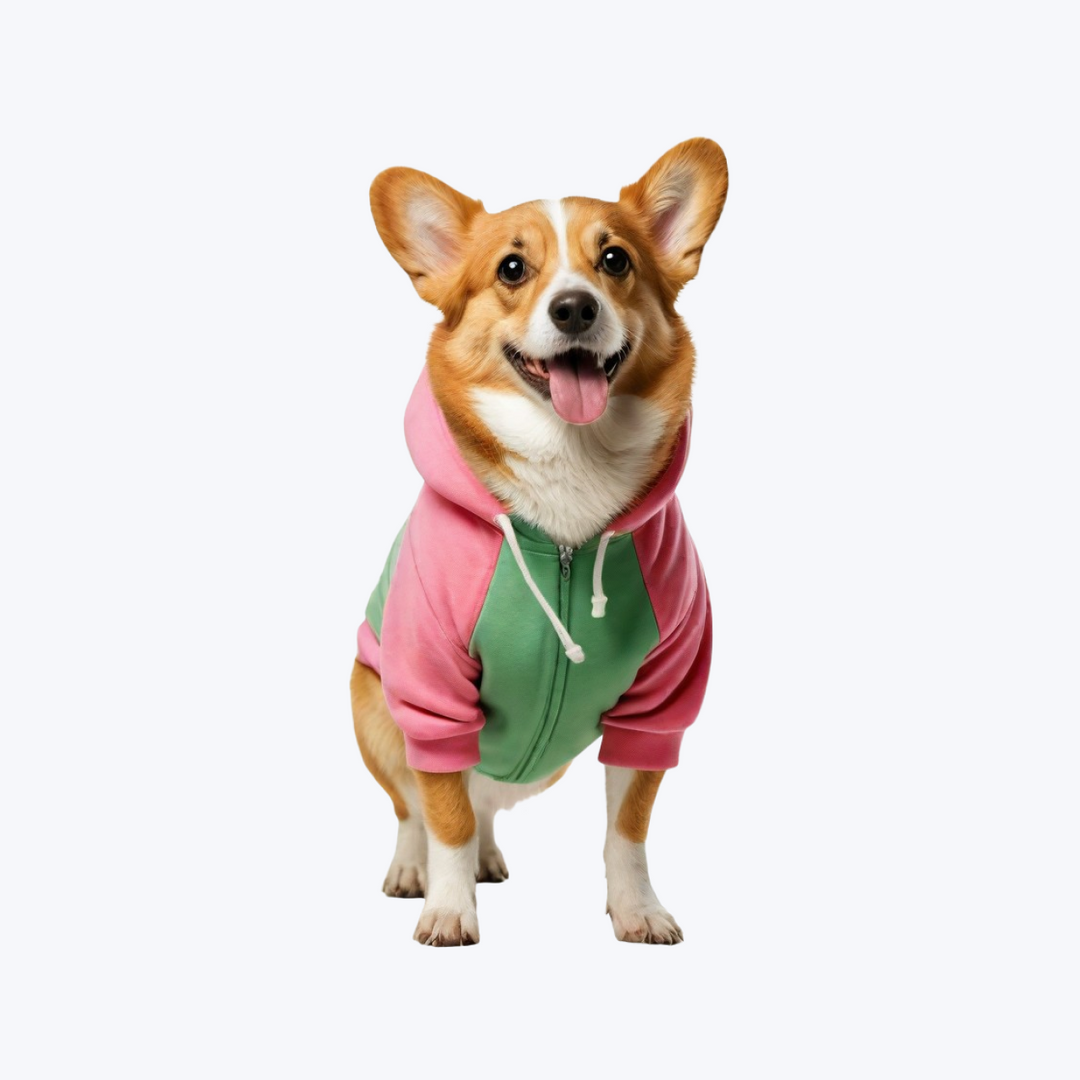 Pet Clothe Transgender Pride Flag Dog