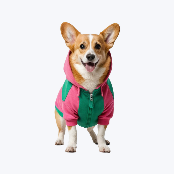 Pet Clothe Transgender Pride Flag Dog