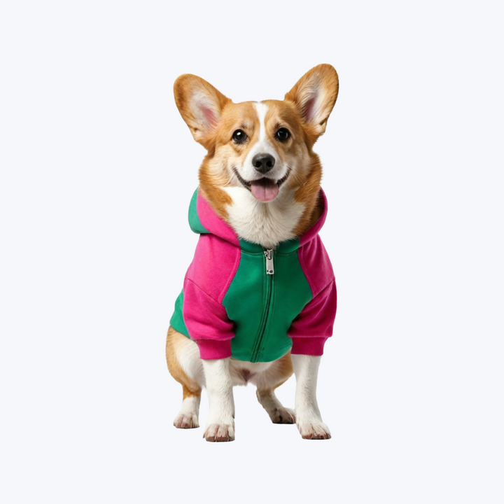 Pet Clothe Transgender Pride Flag Dog