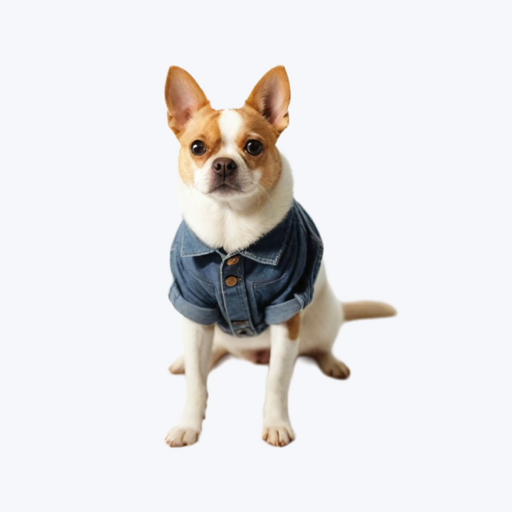 Dog Coat Winter Warm Dog Sweatshirt Christmas Dog