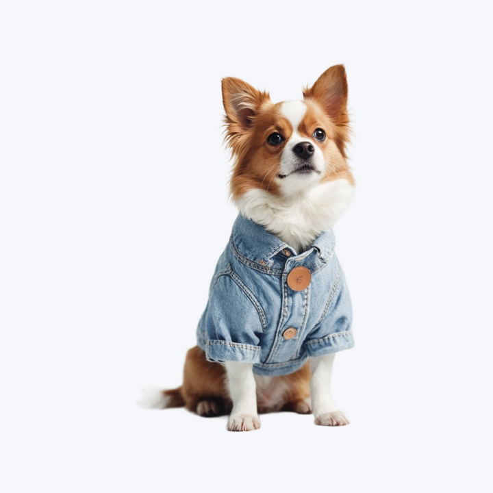 Dog Coat Winter Warm Dog Sweatshirt Christmas Dog