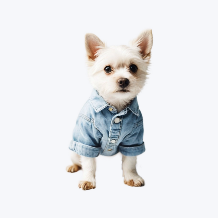 Dog Coat Winter Warm Dog Sweatshirt Christmas Dog
