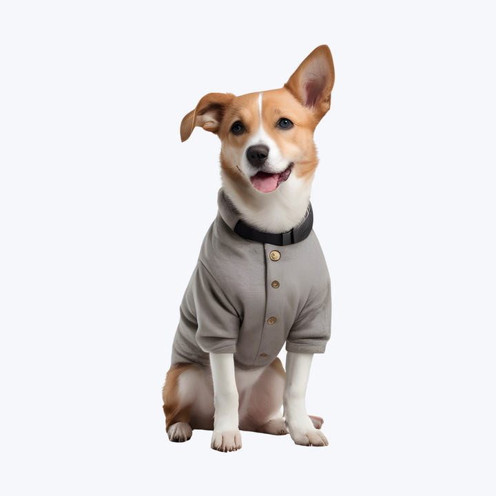 Fleece Vest Dog Cold Weather Pullover Dog