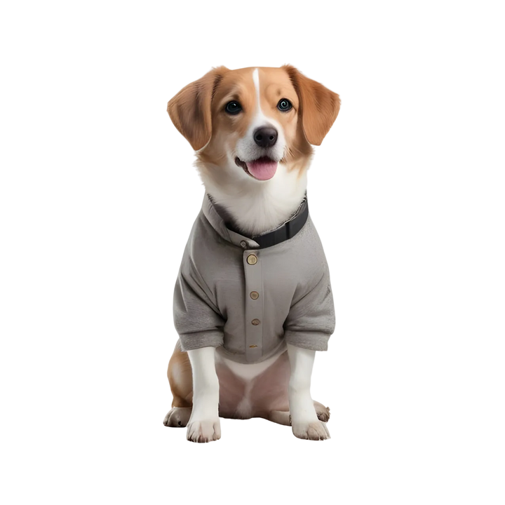 Fleece Vest Dog Cold Weather Pullover Dog