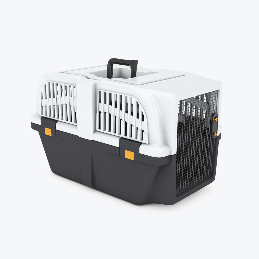 Pet Travel Plastic Cage Carrier Box