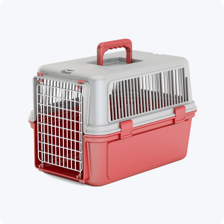 Pet Travel Plastic Cage Carrier Box