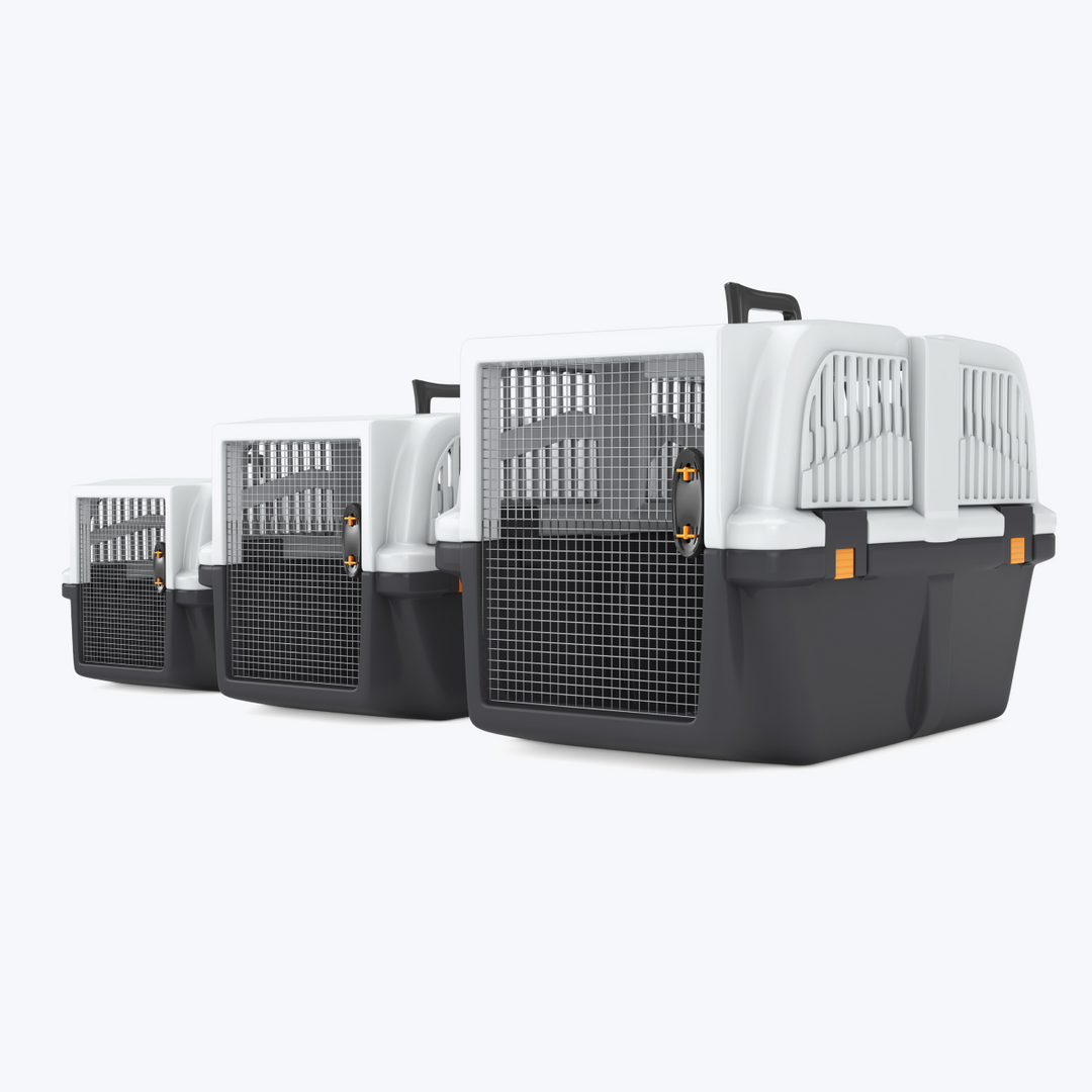 Pet Travel Plastic Cage Carrier Box