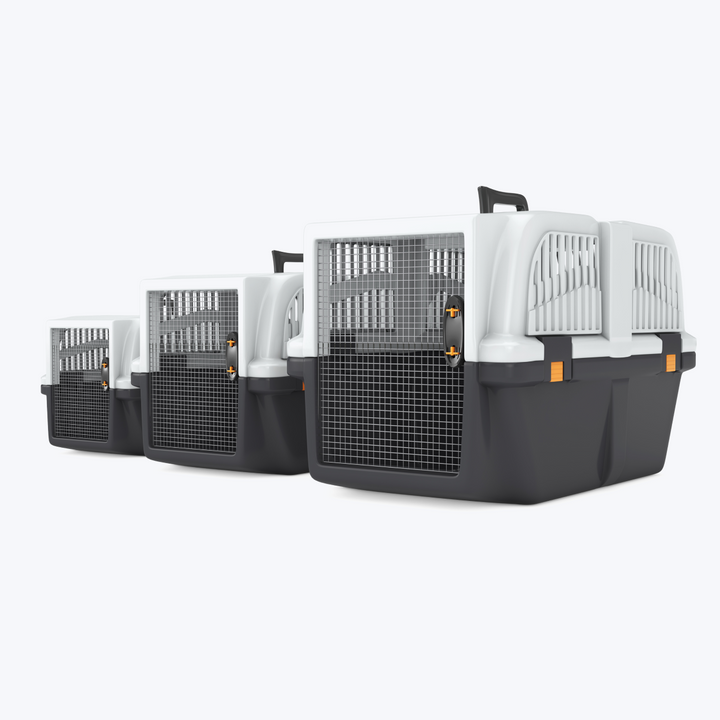 Pet Travel Plastic Cage Carrier Box
