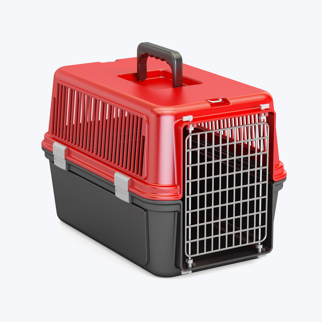 Pet Travel Plastic Cage Carrier Box