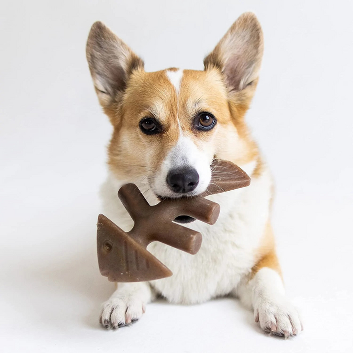 Rubber Hen Toy Suppliers For Dogs
