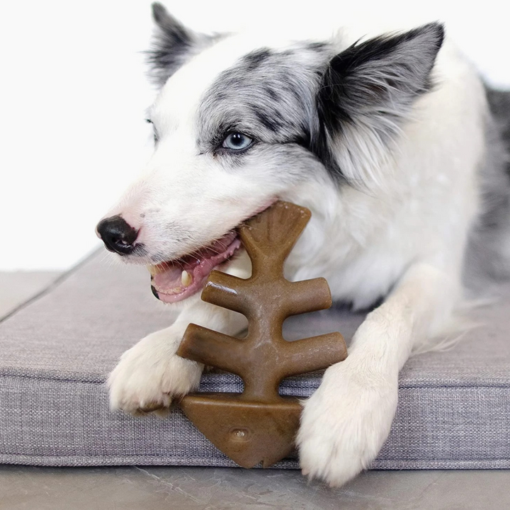 Rubber Hen Toy Suppliers For Dogs
