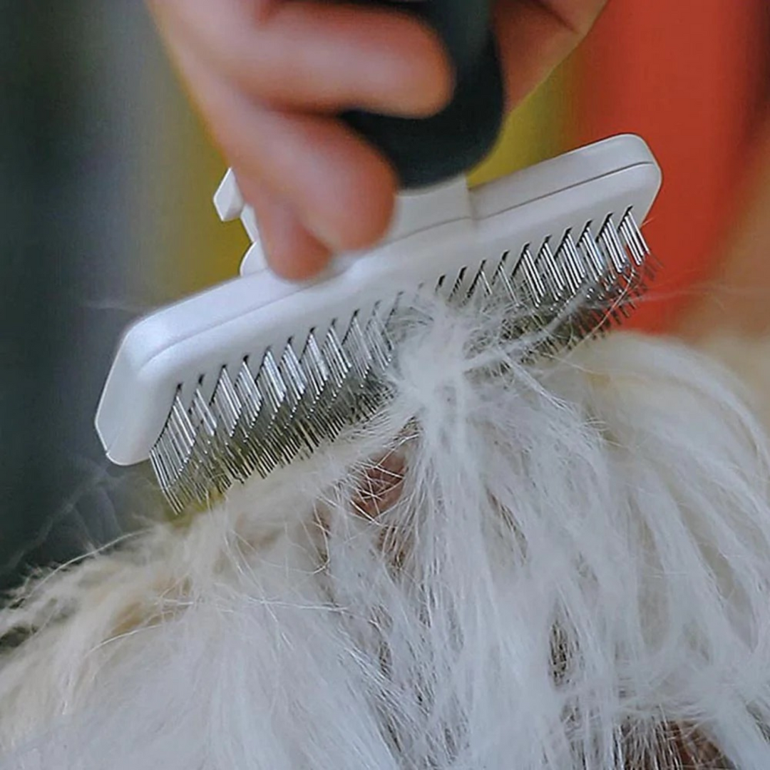 Professional Long-Haired Dog Grooming