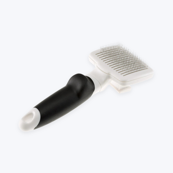 Professional Long-Haired Dog Grooming