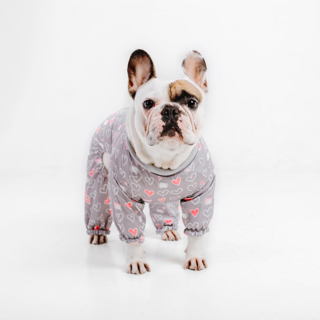 Cute Boy Dog Clothes Suppliers And