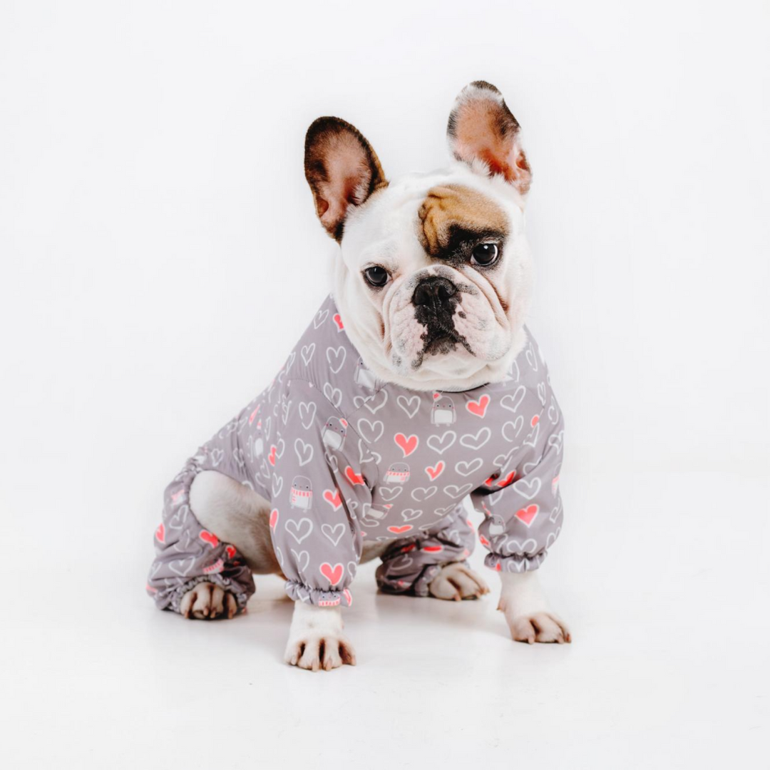 Cute Boy Dog Clothes Suppliers And