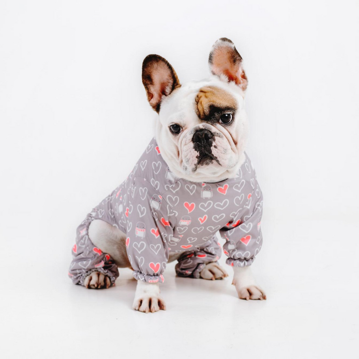 Cute Boy Dog Clothes Suppliers And