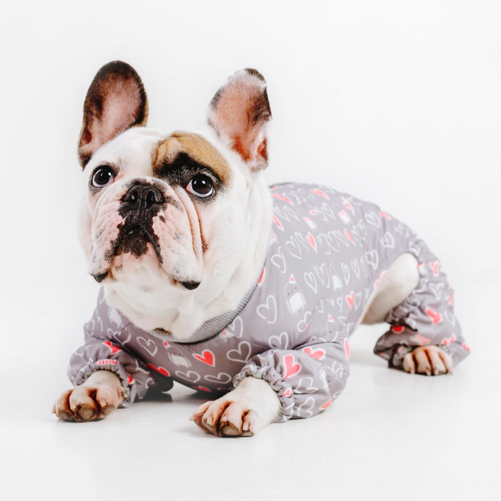 Cute Boy Dog Clothes Suppliers And