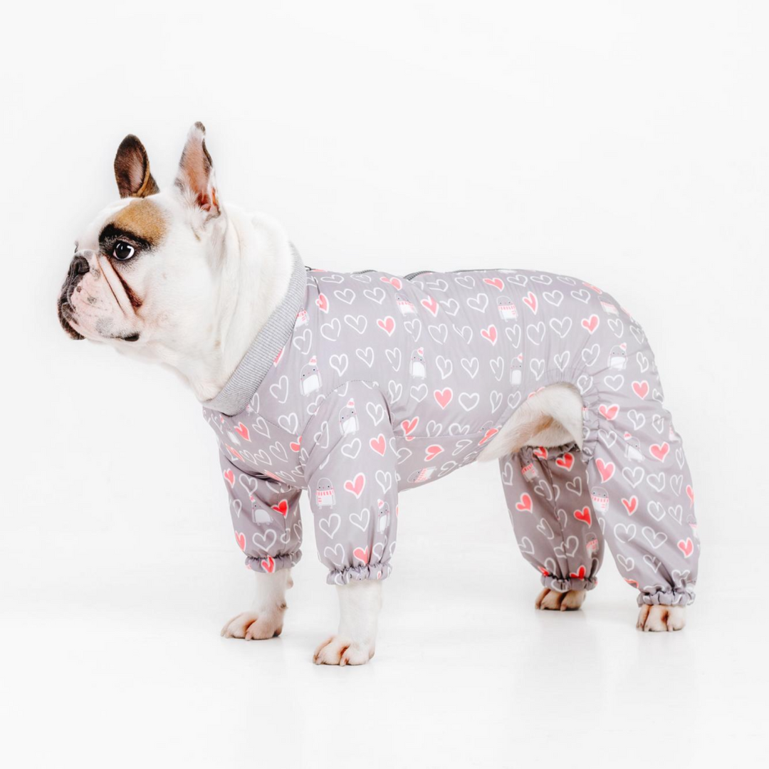 Cute Boy Dog Clothes Suppliers And