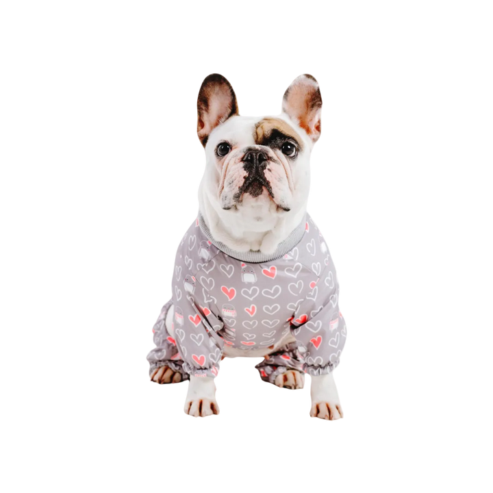 Cute Boy Dog Clothes Suppliers And