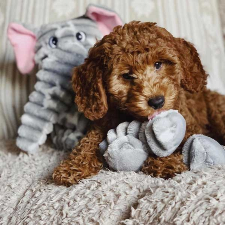 Patchwork Pet Ellie Elephant Plush Dog Toy