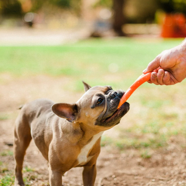 ZoomieRex FantastTug Infinity Chew Toy