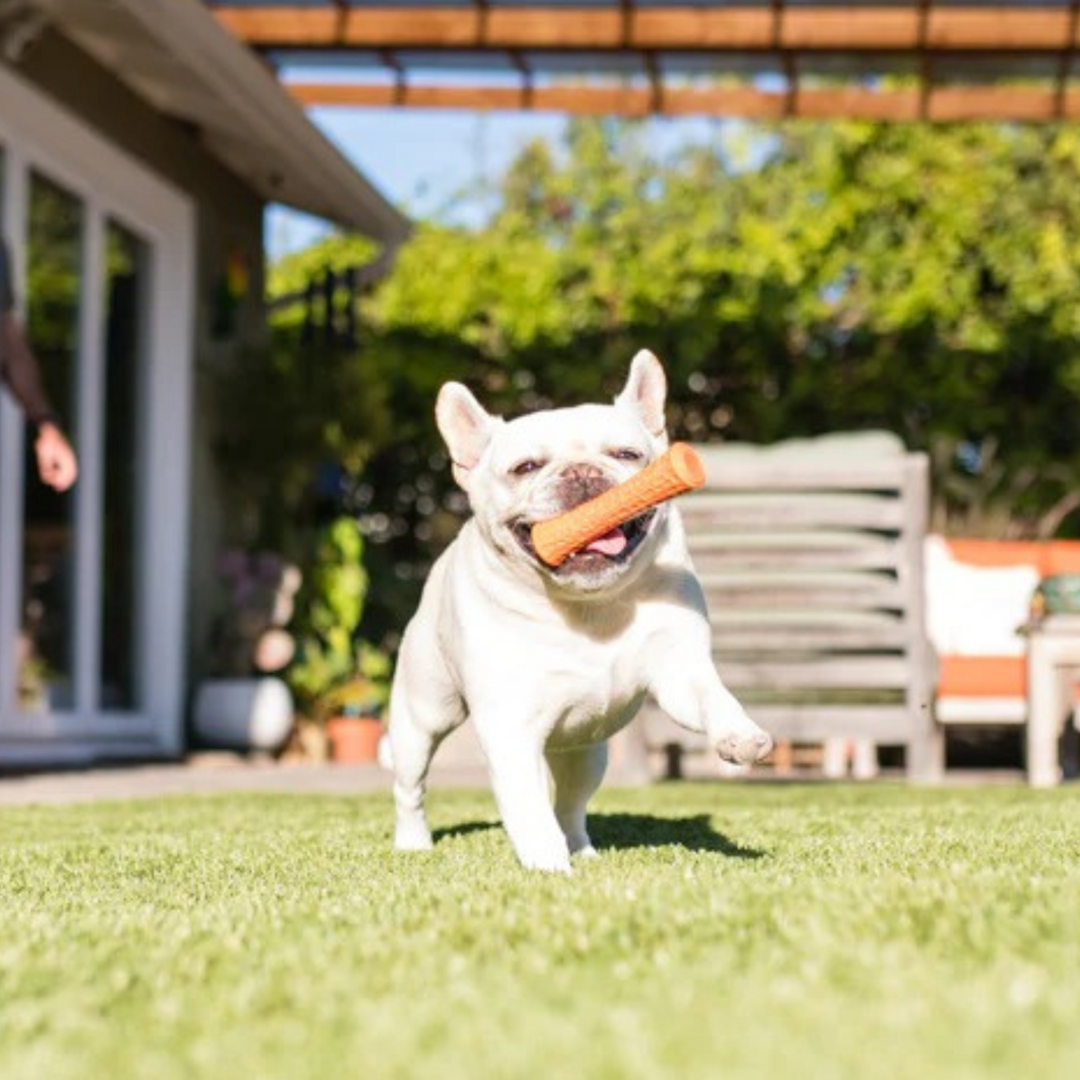The Durable Dog Batton Chew Toy