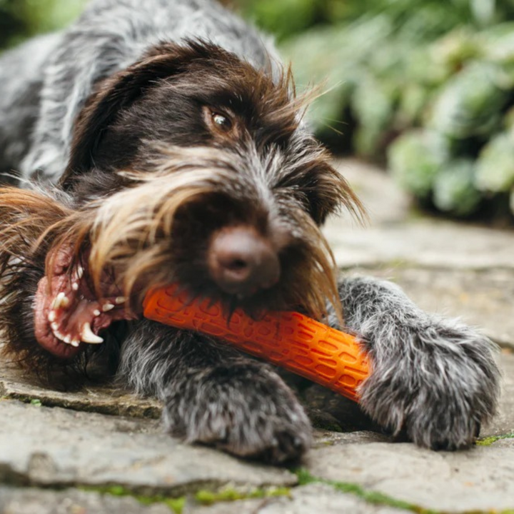 The Durable Dog Batton Chew Toy