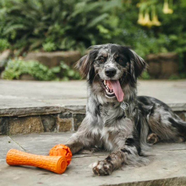 The Durable Dog Batton Chew Toy