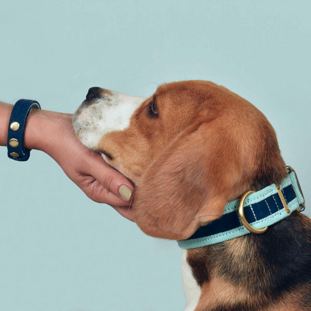 IndieGood Matching Corduroy Dog Collar &amp; Bracelet Set
