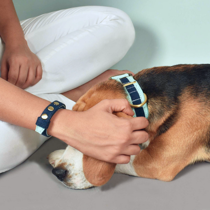IndieGood Matching Corduroy Dog Collar &amp; Bracelet Set