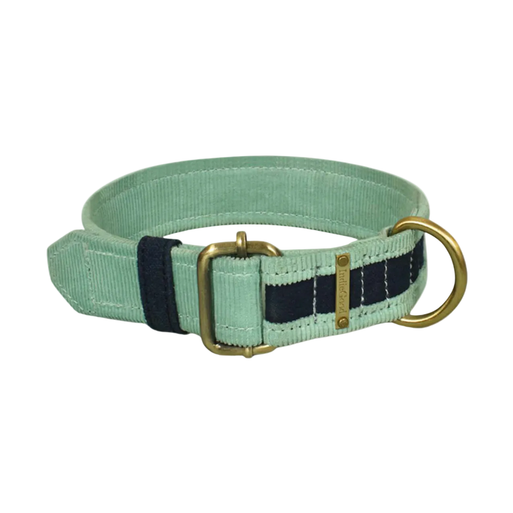 IndieGood Matching Corduroy Dog Collar &amp; Bracelet Set