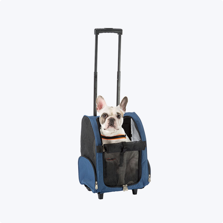 Haustier Träger Hund Katze Rollen Reise Rucksack